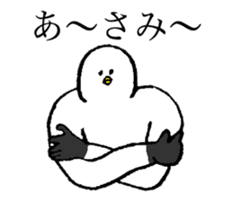 Seagull's name is Asami sticker #14169358