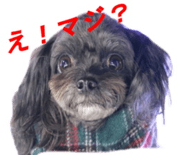 yuzuponzu Sticker 2016 sticker #14170591