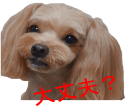 yuzuponzu Sticker 2016 sticker #14170600