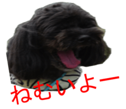 yuzuponzu Sticker 2016 sticker #14170611