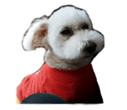 cute dog dog sticker #14171617