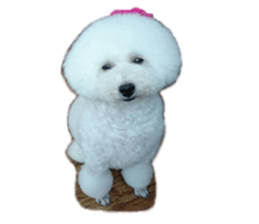 cute dog dog sticker #14171621