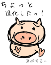 Pig. pig. pig. sticker #14172696