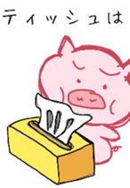 Pig. pig. pig. sticker #14172706