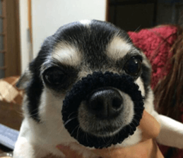 AZK sticker #14173004