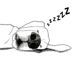 golden Orange -daily routine