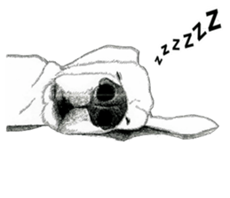 golden Orange -daily routine sticker #14173110