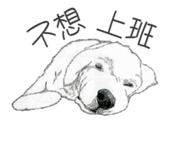 golden Orange -daily routine sticker #14173117