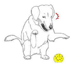 golden Orange -daily routine sticker #14173120