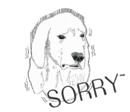 golden Orange -daily routine sticker #14173122