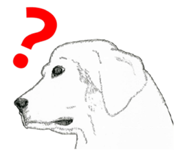 golden Orange -daily routine sticker #14173123