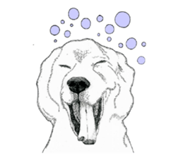 golden Orange -daily routine sticker #14173124