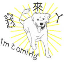 golden Orange -daily routine sticker #14173125