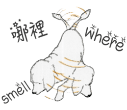 golden Orange -daily routine sticker #14173128