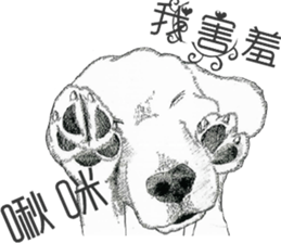 golden Orange -daily routine sticker #14173130