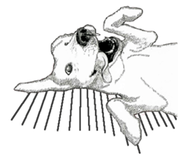 golden Orange -daily routine sticker #14173131