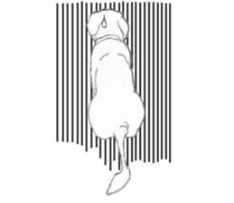 golden Orange -daily routine sticker #14173133