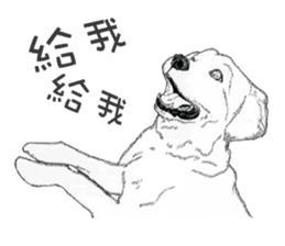 golden Orange -daily routine sticker #14173134