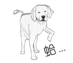 golden Orange -daily routine sticker #14173135