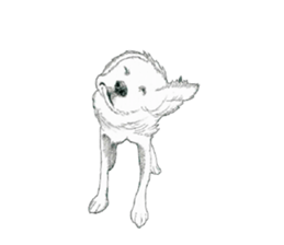 golden Orange -daily routine sticker #14173136