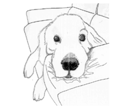 golden Orange -daily routine sticker #14173138