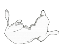 golden Orange -daily routine sticker #14173139