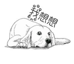 golden Orange -daily routine sticker #14173140