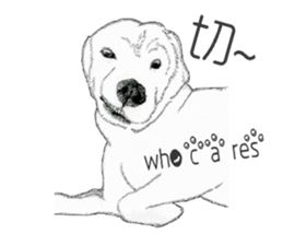 golden Orange -daily routine sticker #14173143