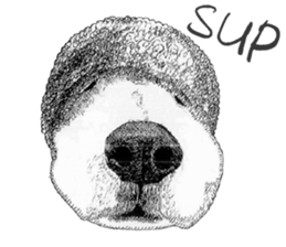 golden Orange -daily routine sticker #14173145