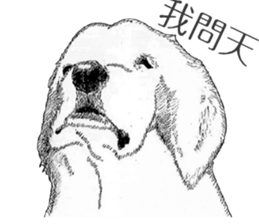 golden Orange -daily routine sticker #14173146