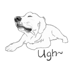 golden Orange -daily routine sticker #14173147