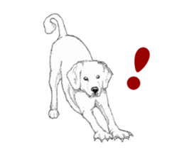 golden Orange -daily routine sticker #14173148