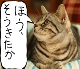 Instead tell the cat part12 sticker #14174645