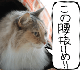 Instead tell the cat part12 sticker #14174648