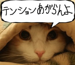 Instead tell the cat part12 sticker #14174654