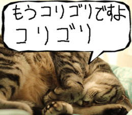 Instead tell the cat part12 sticker #14174657