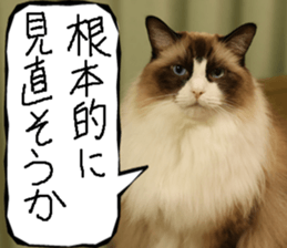 Instead tell the cat part12 sticker #14174659