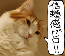 Instead tell the cat part12 sticker #14174660