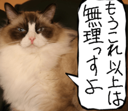 Instead tell the cat part12 sticker #14174665