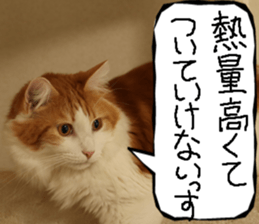 Instead tell the cat part12 sticker #14174674