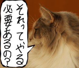 Instead tell the cat part12 sticker #14174676