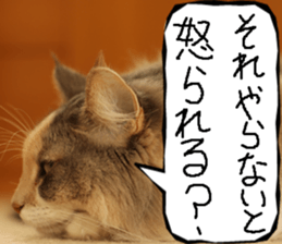 Instead tell the cat part12 sticker #14174677