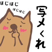 Bear. bear. bear. sticker #14174733