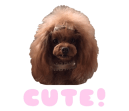 Soppi sticker #14174863