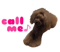 Soppi sticker #14174867