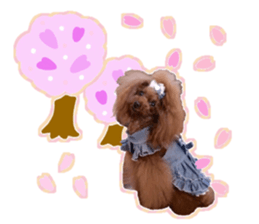 Soppi sticker #14174874