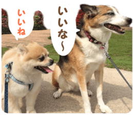 Kirara &Popo sticker #14175096