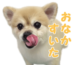 Kirara &Popo sticker #14175099