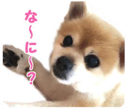 Kirara &Popo sticker #14175102