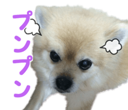 Kirara &Popo sticker #14175104